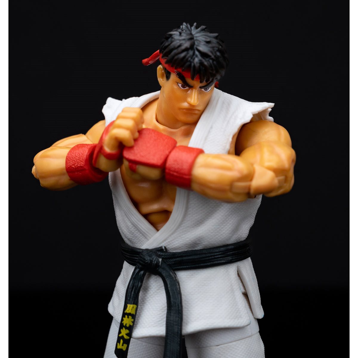 Ryu Ultra Street Fighter II JD34215